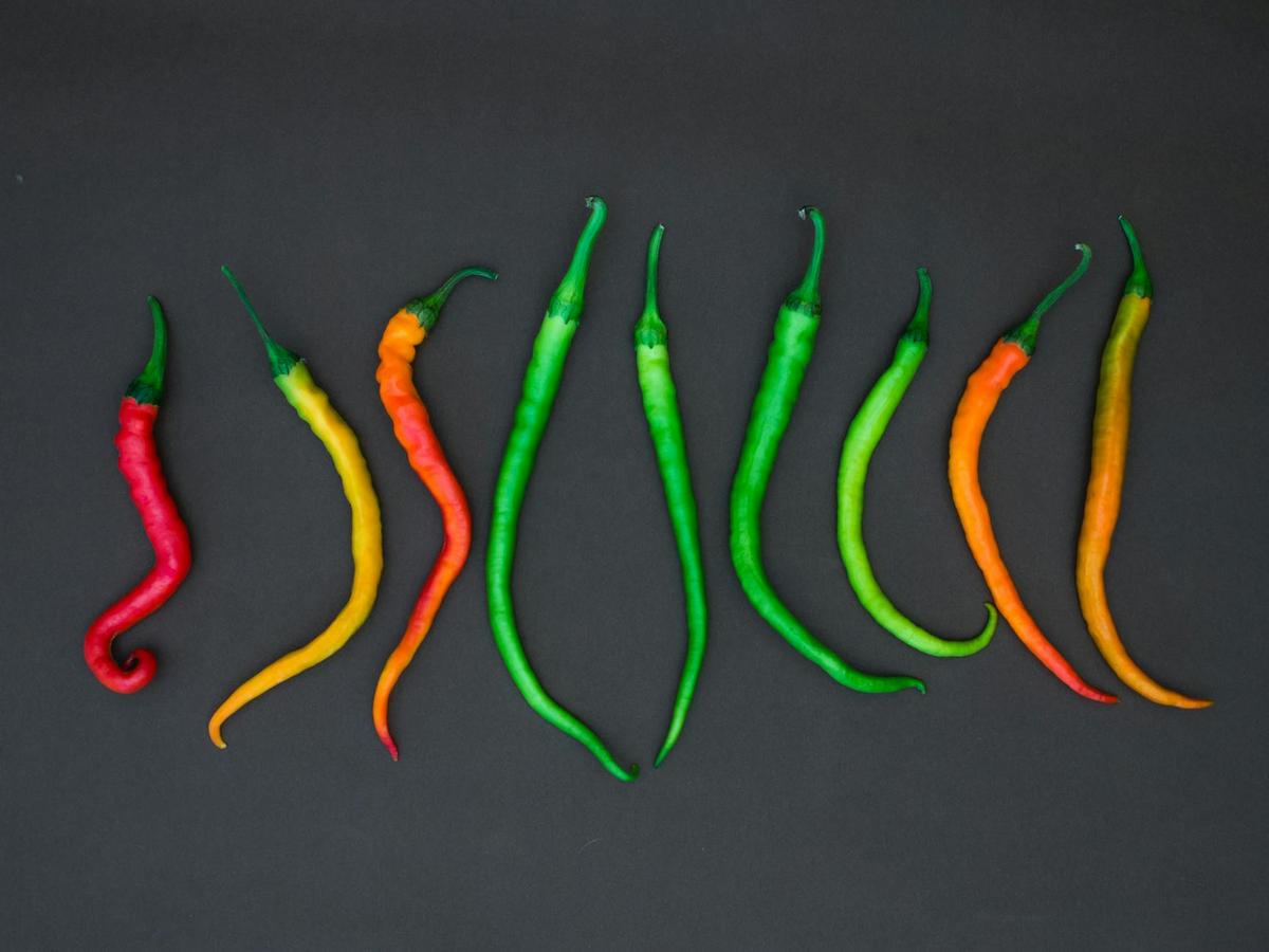 Plant-Based Diets: Exploring the Benefits and Challenges